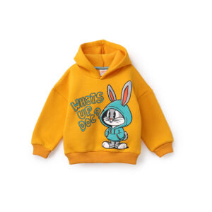 سويت شيرت اولادي بيبي